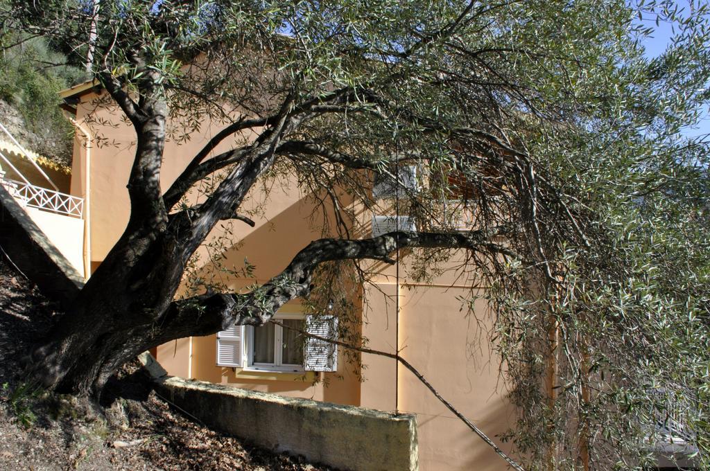 Stella'S Apartments アギオス・ゴルディオス エクステリア 写真